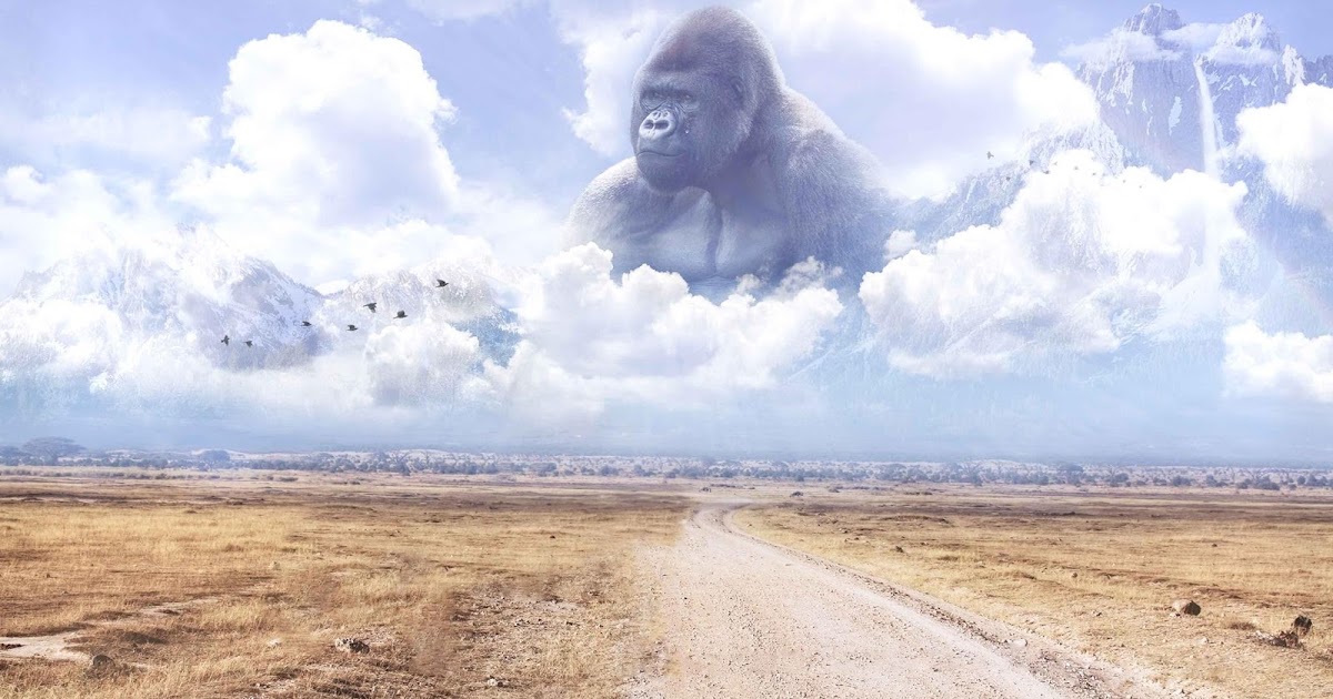 Harambe in the Heaven Wallpaper