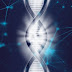 Application of Bioinformatics in Genetic Engineering