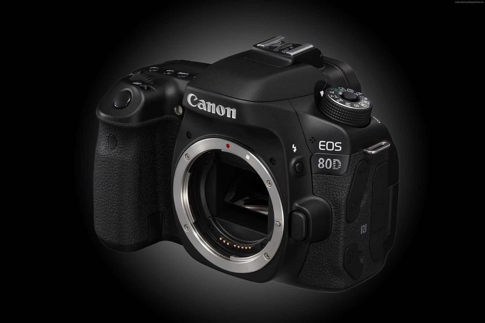 Vernon Chalmers Photography: Canon EOS 80D - First Impressions / Test Shoot