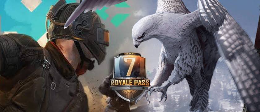 Tips Dan Trik Pubg Mobile 11 Lokasi Telur Companion Atau Falcon