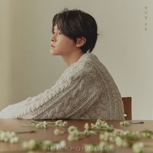 Yang Da Il – Sometimes – Single