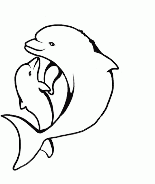 50+ Ausmalbilder Delphin Meerjungfrau Farbung