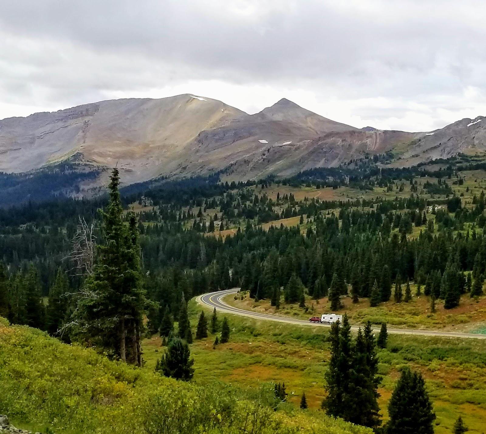 Mille Fiori Favoriti Cottonwood Pass, the Second Highest Paved