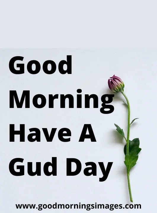 Good Morning gif Images Good Morning gif Images