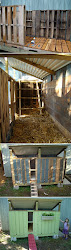 chicken coop pallet pallets coops animals wood build easy diy simple pen making inside pretty coup board