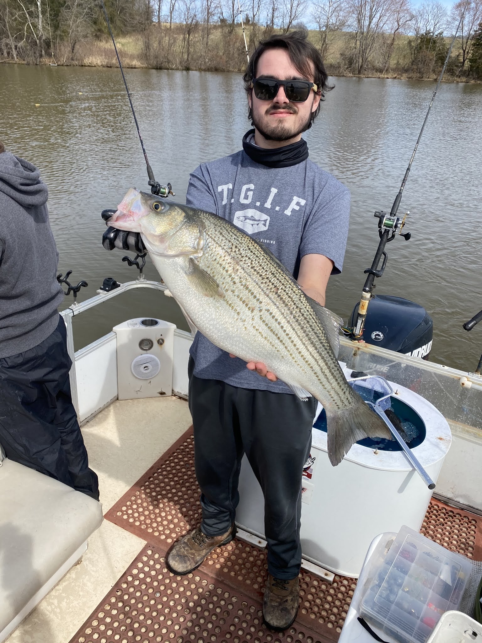 Lake Anna Striper Guide Journal Lake Anna Stripers and Wipers