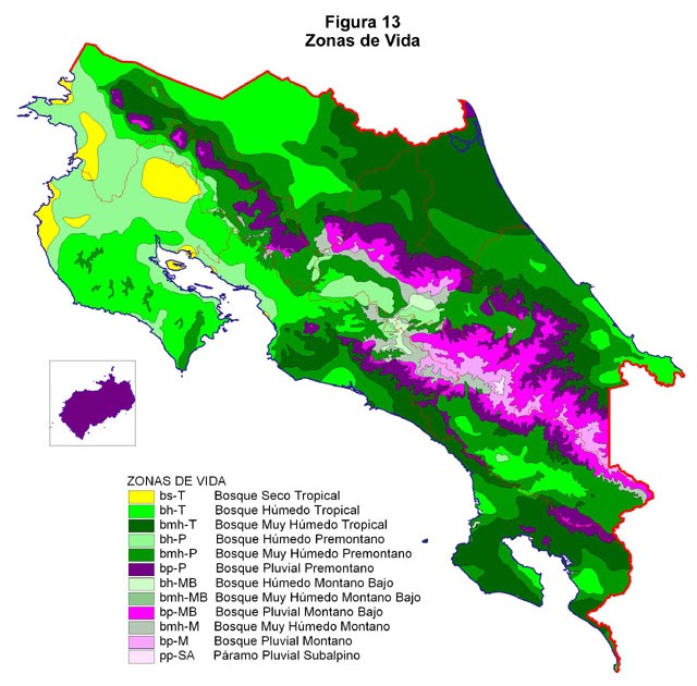 Volcanes playas cordillera caribe mapas nationalgeographic tortuguero protagonizan viaje playa ECOSISTEMAS DE COSTA RICA: BOSQUE TROPICAL MUY HÚMEDO MONTANO