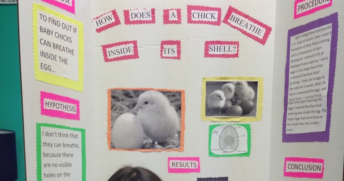 Ms. Seeley's Fourth Grade: Science Fair 2014