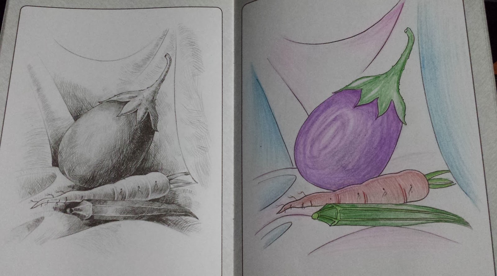 brinjal pencil drawing