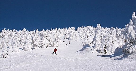 Resor Ski Yamagata Jepang