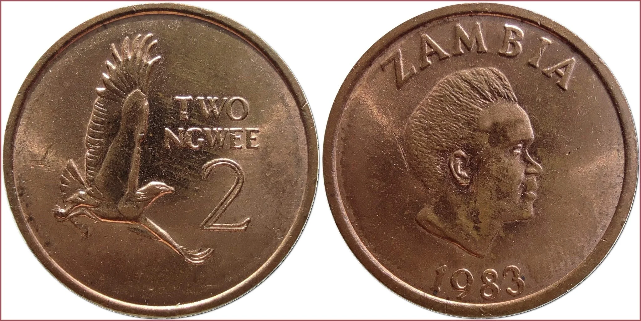 2 ngwee, 1983: Republic of Zambia