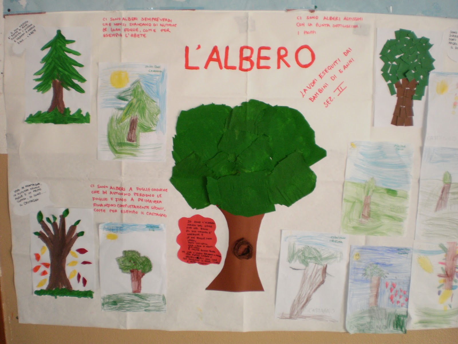 Descrizione Di Un Albero Scuola Primaria Istituto Comprensivo Lombardo Radice - Palermo: I lavori per la Festa