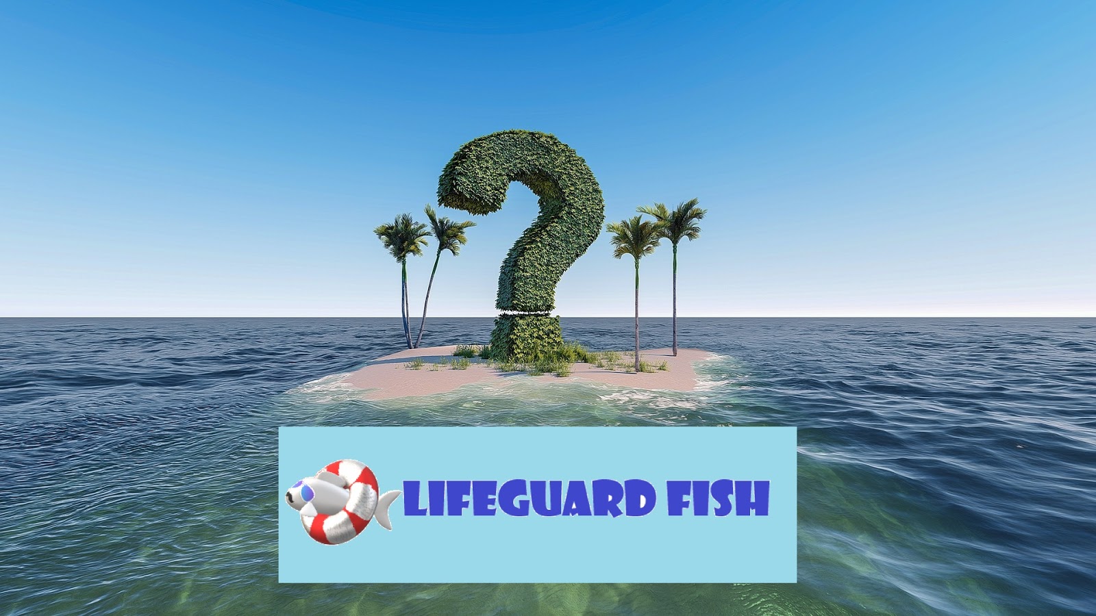 Lifeguard fish essay 07 image