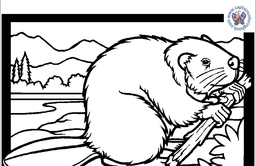 Coloring book pdf download