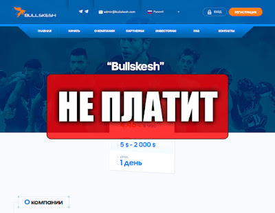 Скриншоты выплат с хайпа bullskesh.com Скриншоты выплат с хайпа bullskesh.com