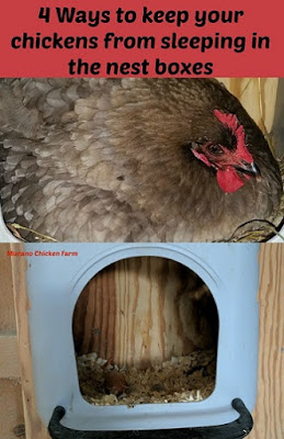 how to keep chickens from sleeping in nest boxes