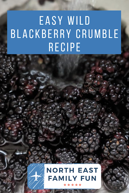 Easy wild blackberry crumble recipe for kids