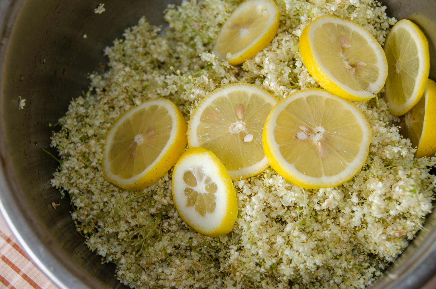 Elderflower simple syrup recipe Macedonia Nature