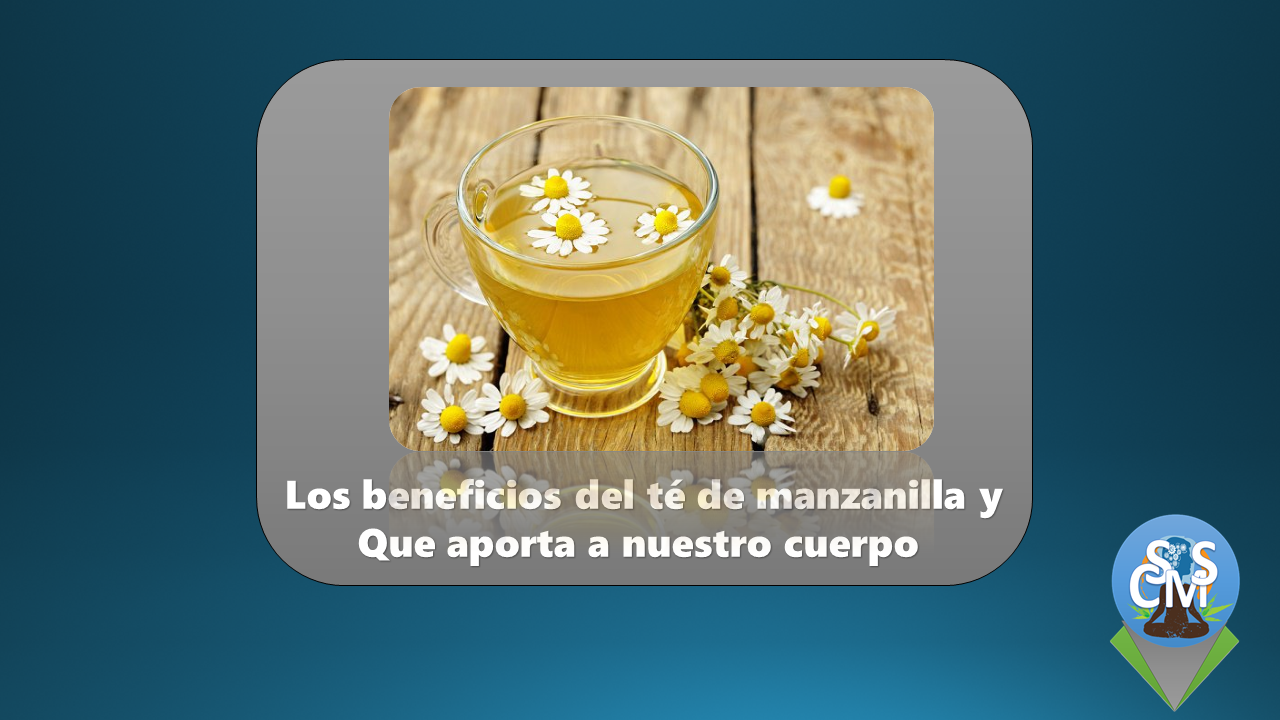 Beneficios para la salud del té de manzanilla y que aporta a nuestro cuerpo