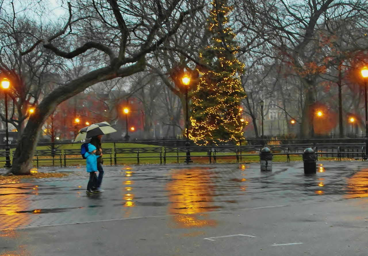 Ev Grieve Summer Wishes Winter Dreams