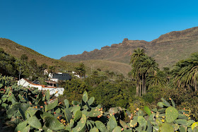 Roadtrip Gran Canaria – Bei dieser Inselrundfahrt lernst du Gran Canaria kennen! Sightseeingtour Gran Canaria. Die schönsten Orte auf Gran Canaria 17