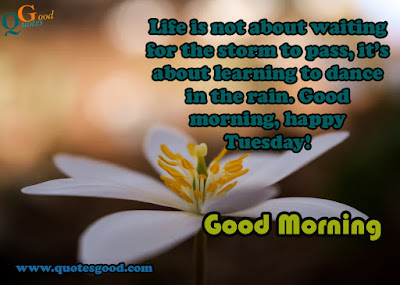 Tuesday morning quotes with images