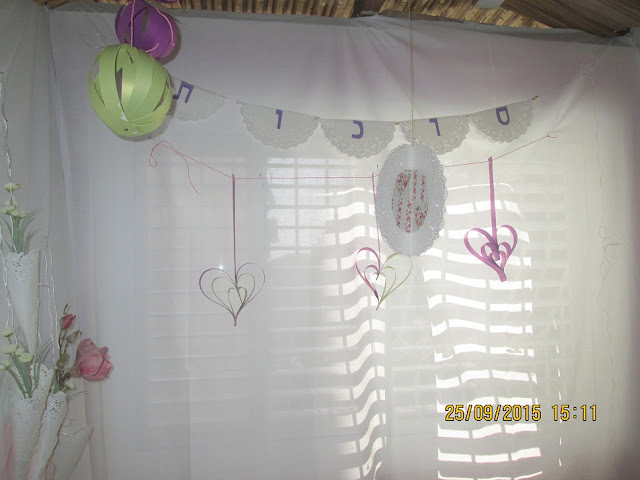 IMG 0104 - סוכה בסגנון אחר...