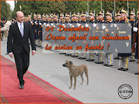 Funny photo Traian Basescu Decembrie