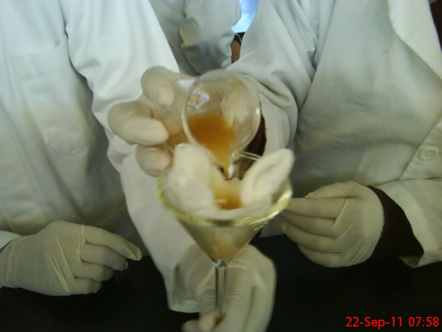 Majettzi Gomez: TECNICA DE FAUST- 3DM- LAB.CLINICO.M.