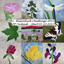 PP Challenge 2011