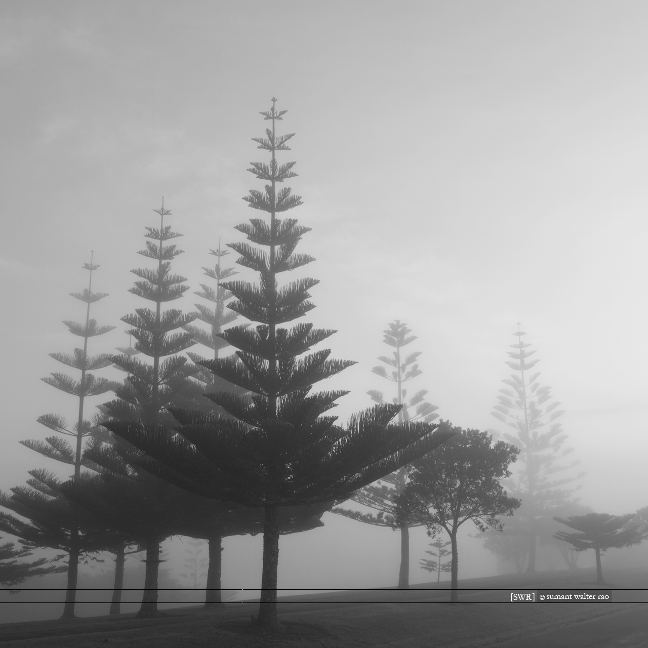 Sumant Walter Rao Photography: 2012