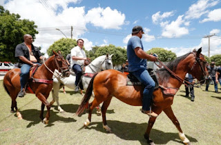 NO NORDESTE: Bolsonaro vai à Bahia inaugurar obras, anda a cavalo e é aclamado pelo povo Screenshot 404 - NO NORDESTE: Bolsonaro vai à Bahia inaugurar obras, anda a cavalo e é aclamado pelo povo