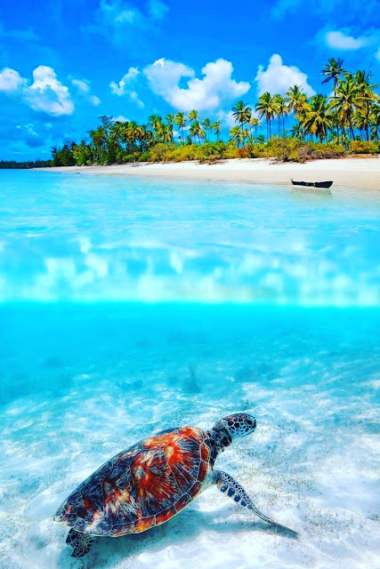 nature images hd wallpaper for mobile