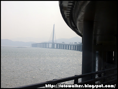 深圳灣公路大橋 (Shenzhen Bay Bridge)