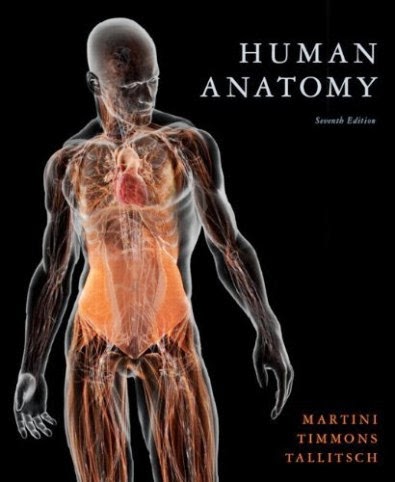 Hacks For Everyone: Human Anatomy - Ebook