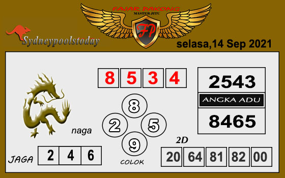 sdy selasa