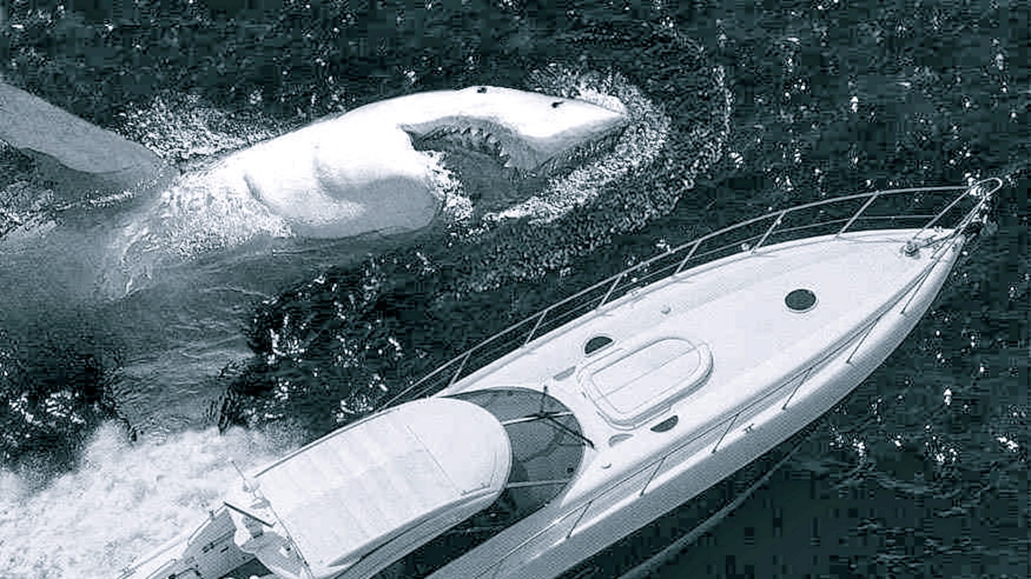 PARANORMAL EVIDENCE CAUGHT ON CAMERA: SEA MONSTERS CAUGHT ON CAMERA