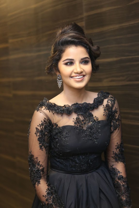 Anupama Parameswaran at Hello Guru Prema Kosame Pre release