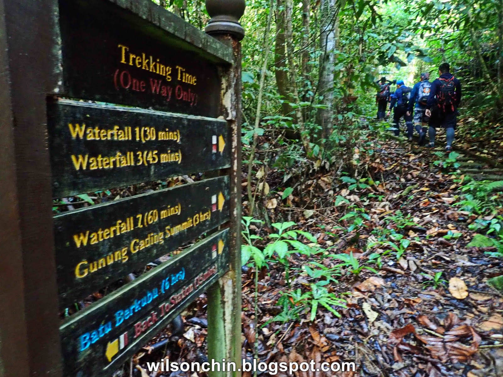 Gading gunung Gunung Gading