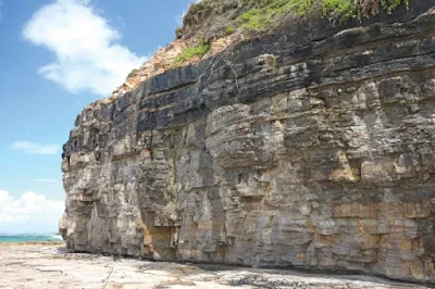 Klasifikasi Batuan Sedimen