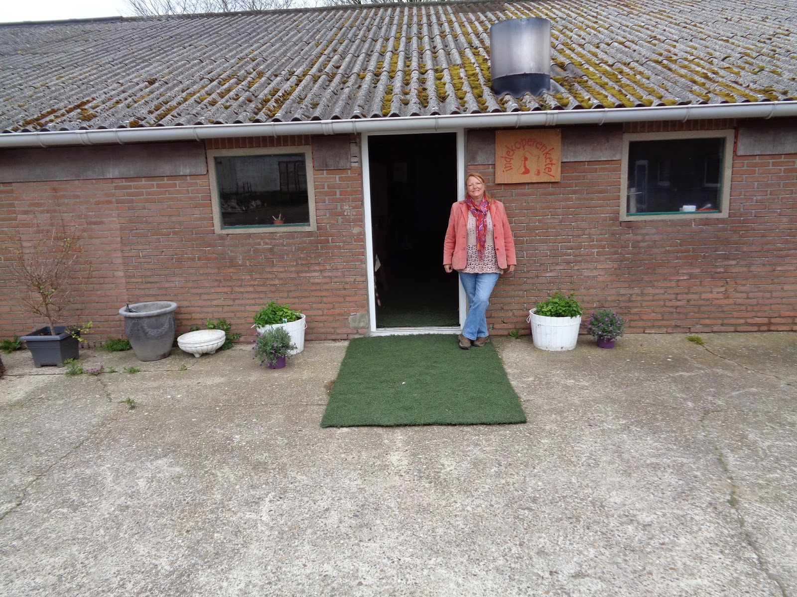 Inloopmiddag en naaldbomenexcursie NLGR