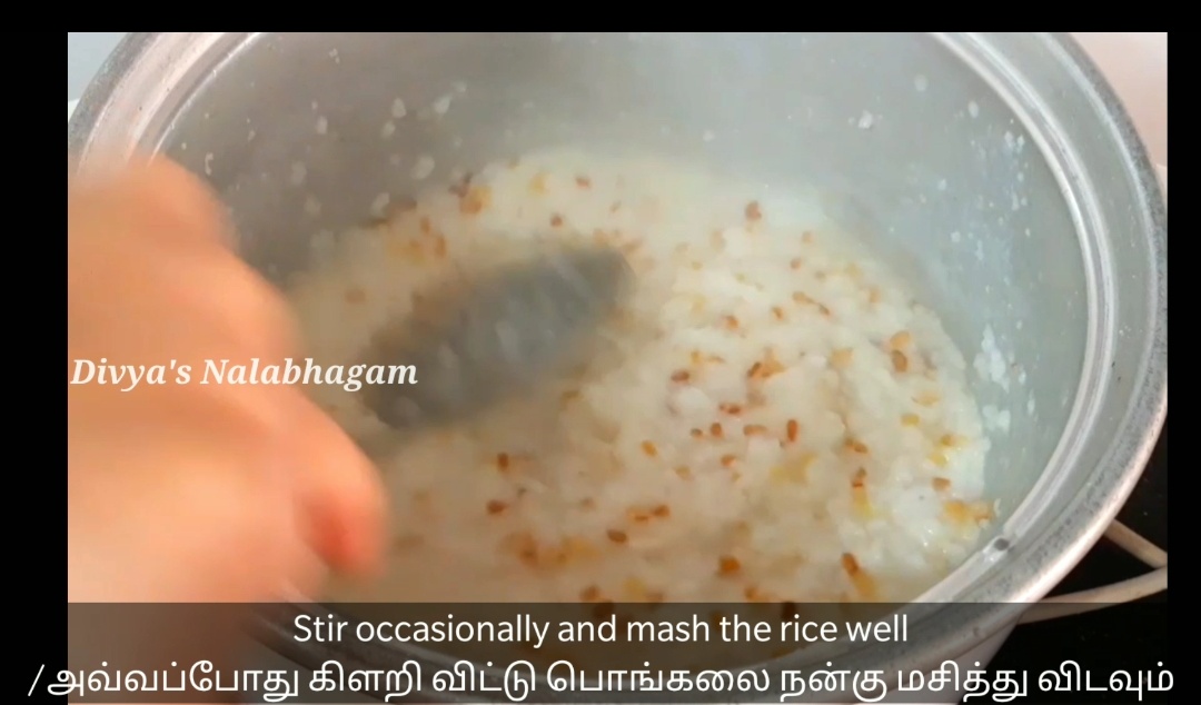 Sakkarai Pongal in Electric Rice Cooker Sweet Pongal in Electric Rice Cooker Divya's Nalabhagam