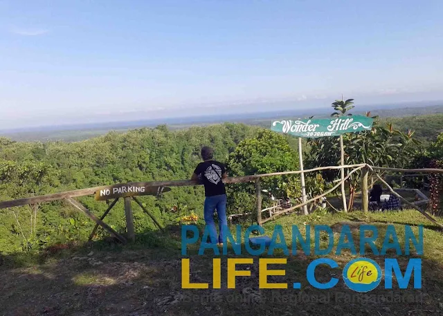 dari atas bukit jojogan bisa melihat pemandangan