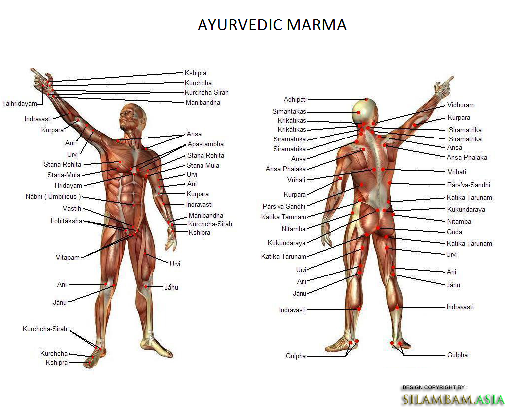 Marma Chart