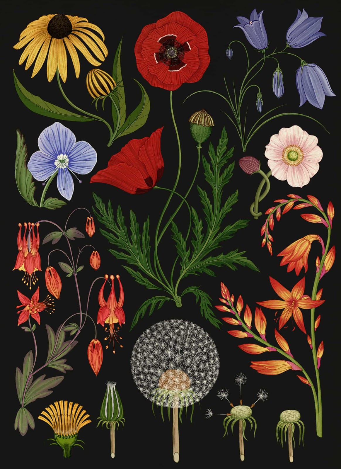 Something: Katie Scott