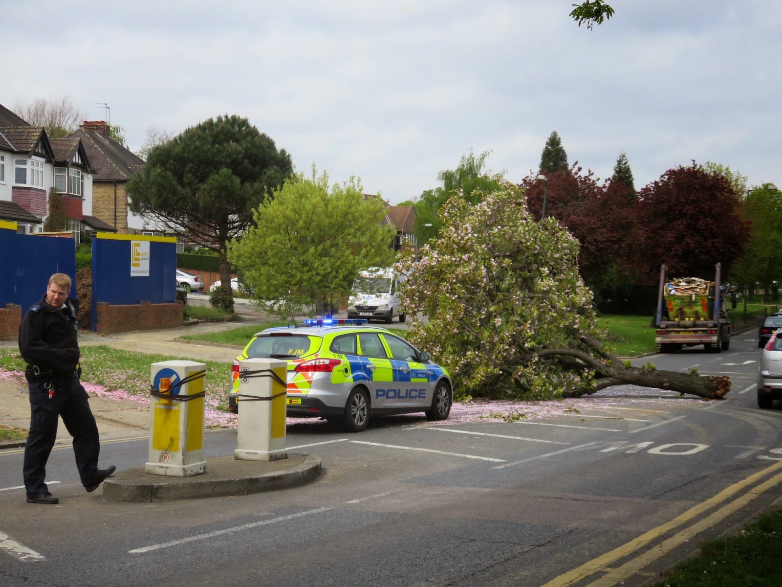 WEMBLEY MATTERS Skip lorry demolishes tree in Salmon Street, Kingsbury
