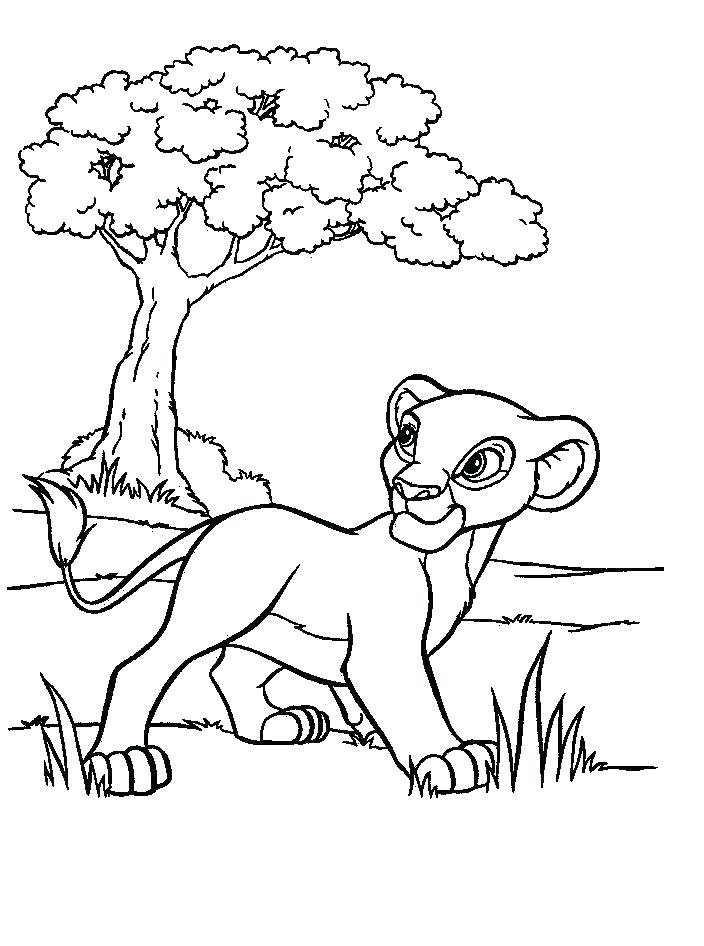 Lion Guard Coloring Pages For Kids Colours Drawing Wallpaper lion-guard-coloring-pages-for-kids-colours-drawing-wallpaper