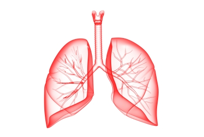 Remedios Caseros Para Los Pulmones - Fortalece, Limpia y Remedios Caseros Para Los Pulmones - Fortalece, Limpia y
