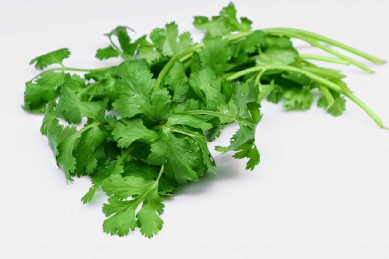 Wow Ternyata Daun Seledri Sngan Bermanfaat Untuk Kesehatan Dan