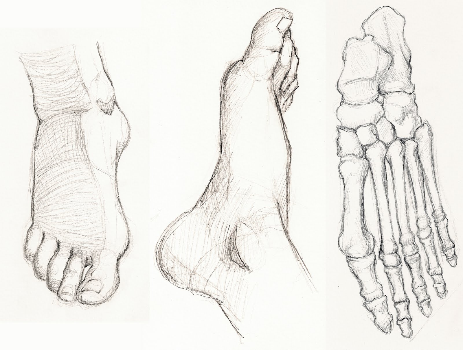 Figure Drawing and Anatomy: Foot Studies